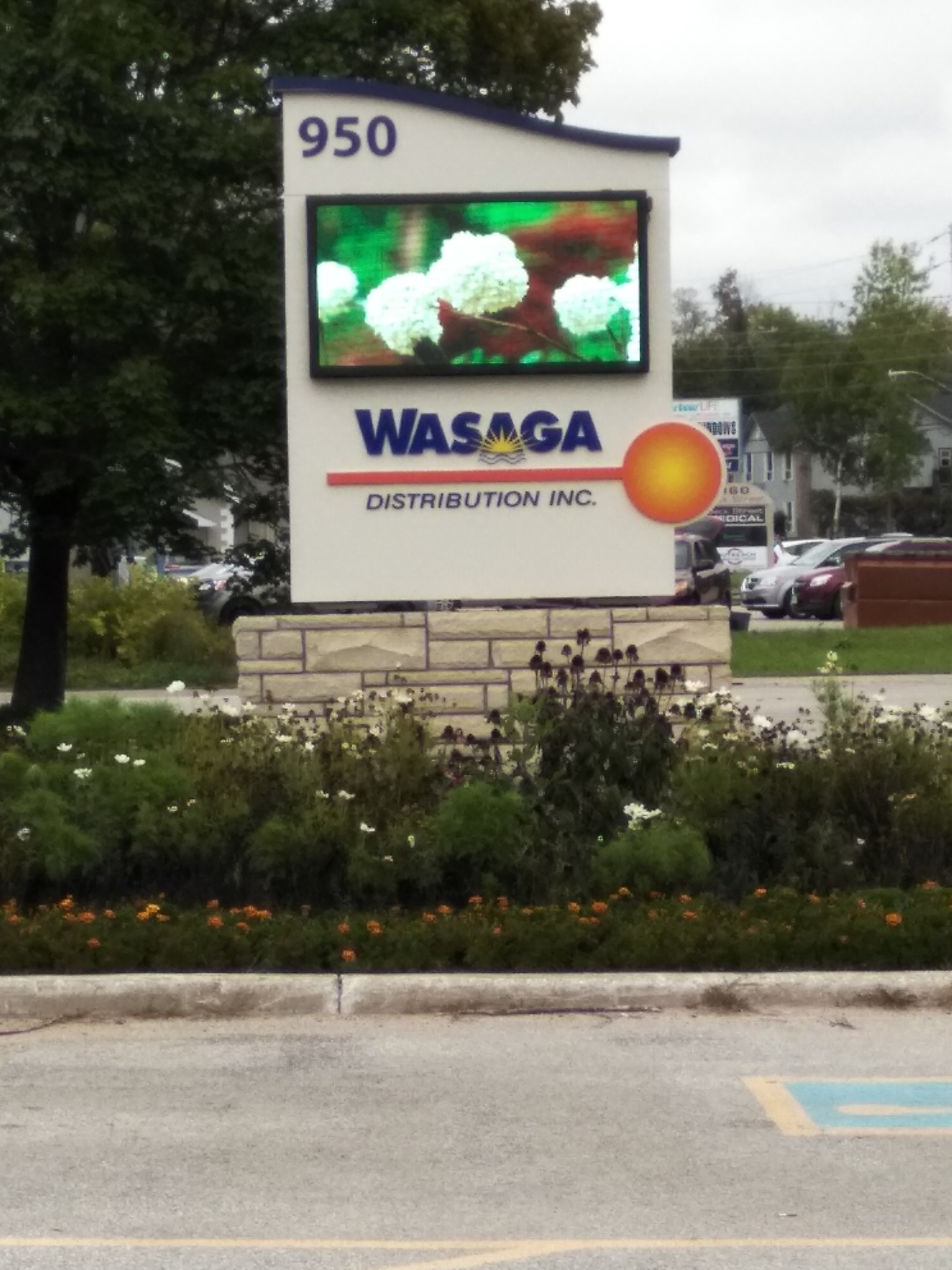 wasaga flower sign