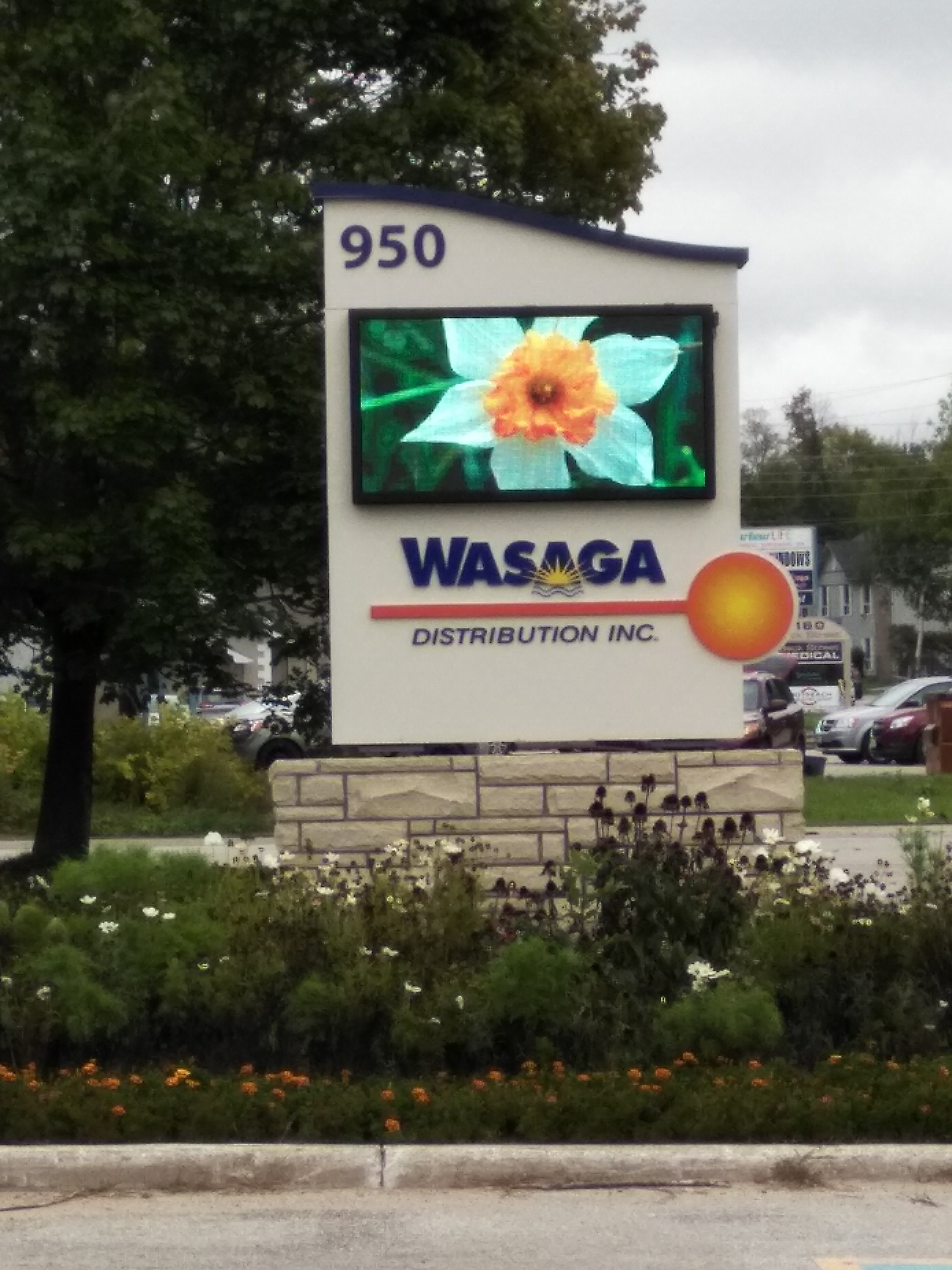wasaga video screen