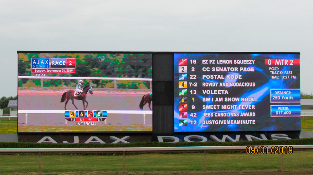 horse race led sign